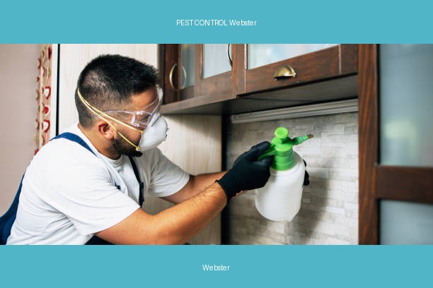 PEST CONTROL Webster